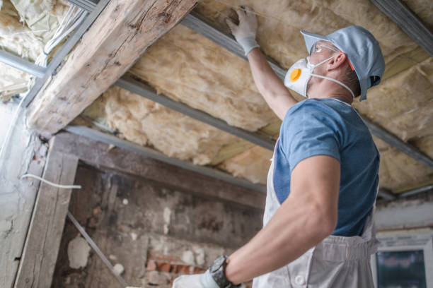 Best Cellulose Insulation in Crescent Springs, KY