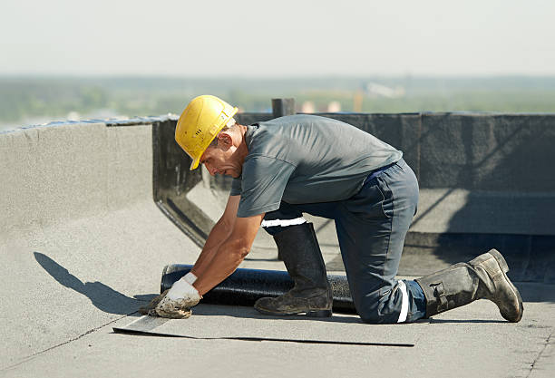 Best Insulation Maintenance and Repair in Crescent Springs, KY