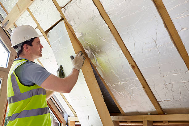 Best Specialized Insulation Services in Crescent Springs, KY